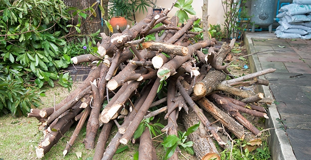 A pile of logs.